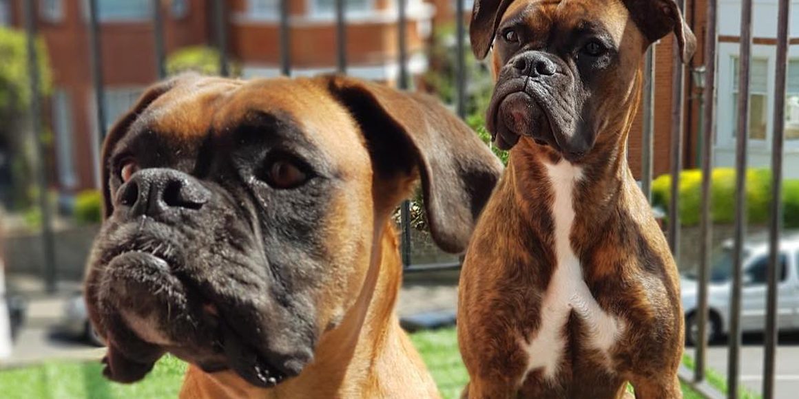 Уникальные операции доктора Воронцова