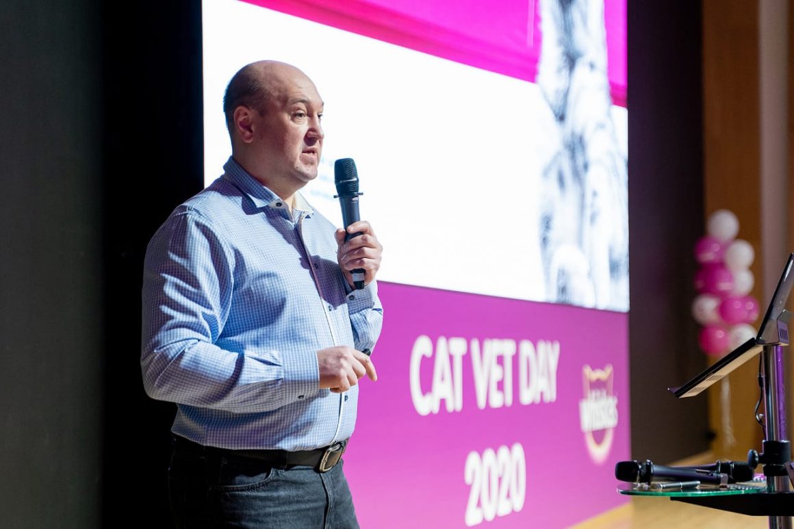 Лекция в день кошек — конференция MARS