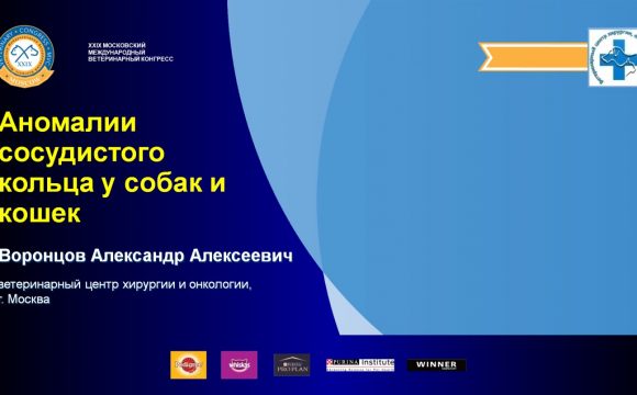 XXIX Московский международный ветеринарный конгресс