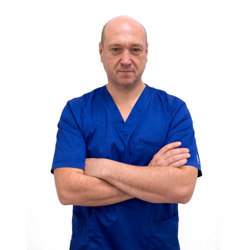 Воронцов Александр Алексеевич Воронцов Александр Алексеевич